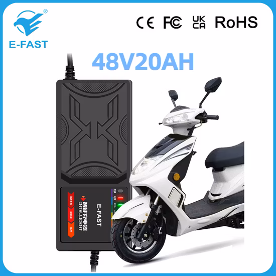 Popular E-Fast E-Bike y Scooter Cargador 48V20ah Cargador de batería de plomo-ácido